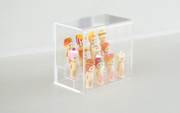 Sonny Angel Acrylic Display Case - Daily Carry