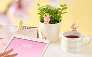 HIPPERS Cherry Blossom Series - Special Find